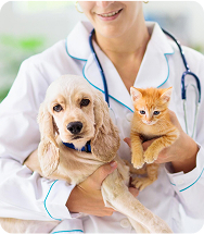 pet-care Pet Care